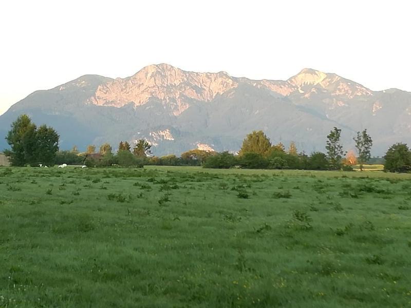 Apartment Moosblick Zwischen Bergen Und See Benediktbeuern Zewnętrze zdjęcie